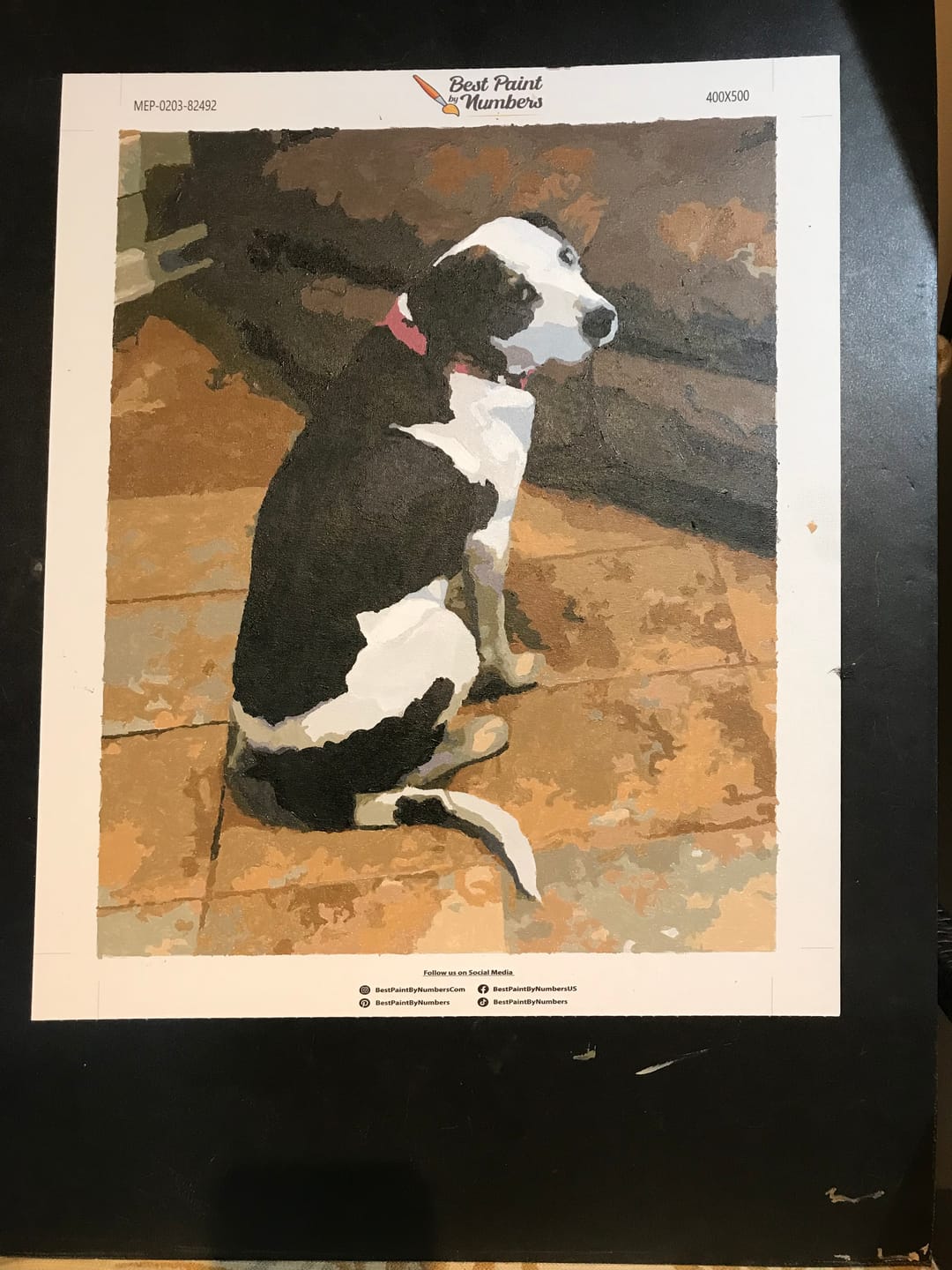 Customer photo review of CUSTOM PAINT BY NUMBER KIT