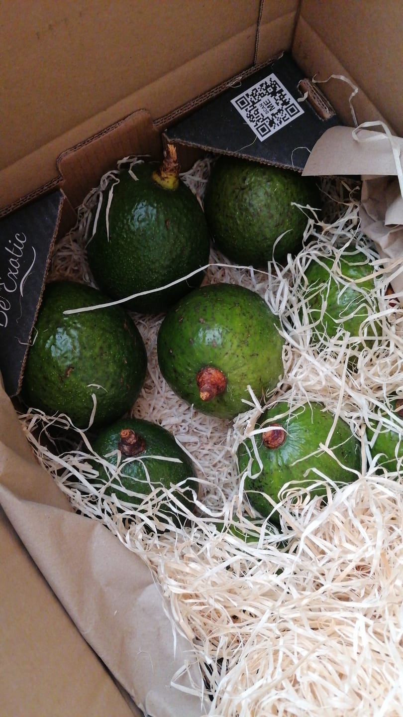 Customer photo review of Avocado Margarida (Stk. ca. 500g)