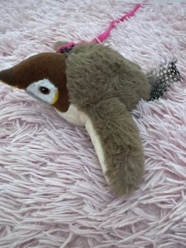 Customer photo review of Motion-Activated Flapping Bird Cat Toy