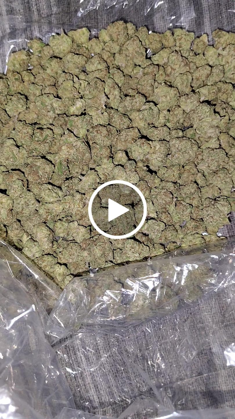 Customer video review of Strawberry Gelato - Bulk - Hybrid