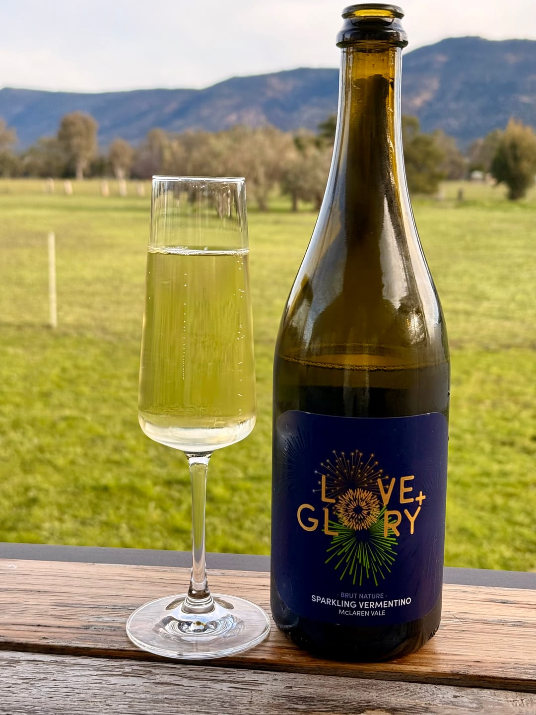 Customer photo review of 2024 Sparkling Vermentino