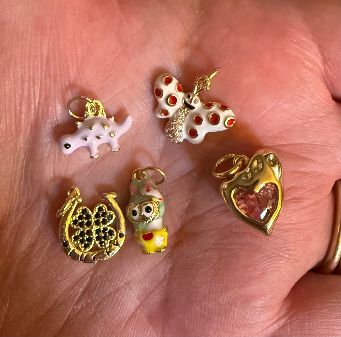 Customer photo review of 5 CHARM BUNDLE - Pick Your Charms TT LIVE