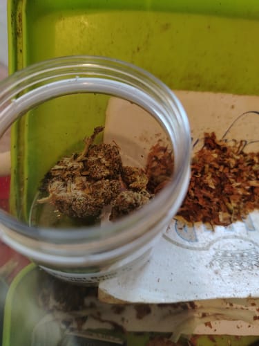 Customer's close-up of Planet Bang Bang flower buds in a small glass jar, with loose tobacco nearby.