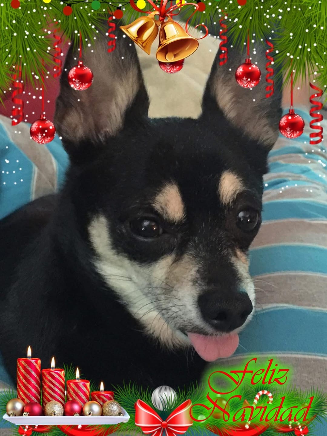 Customer photo review of DoDoWish Gift Box (Free Gift)