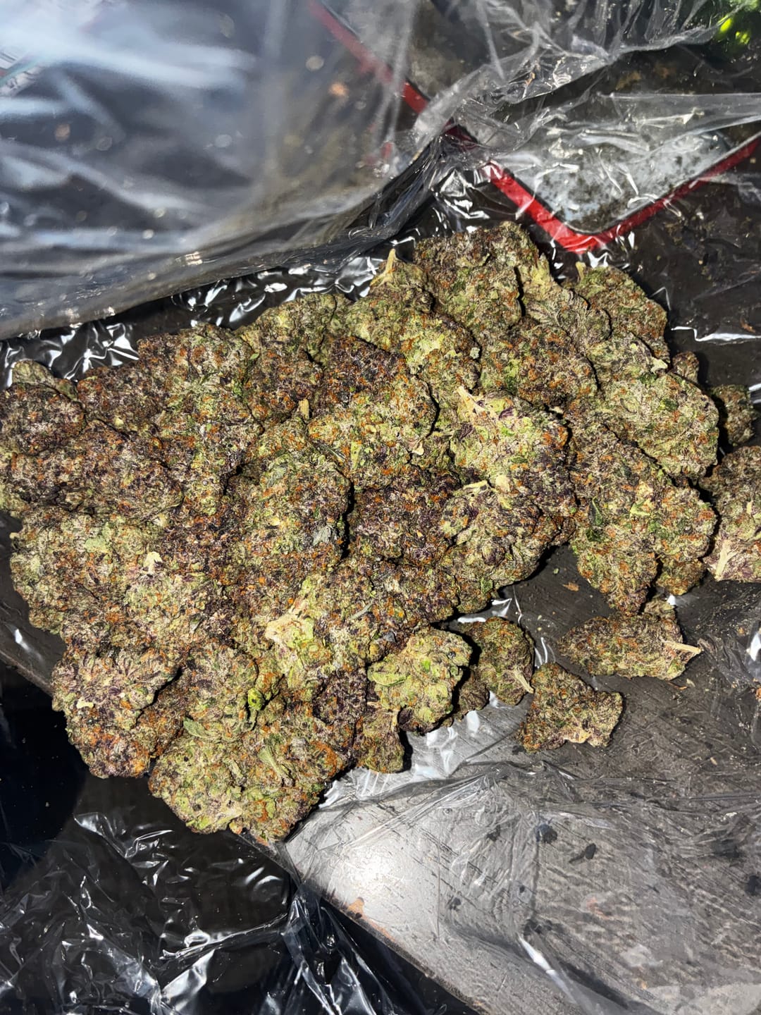 Customer photo review of Boutique Exotics Lemon Dior - Bulk - Hybrid