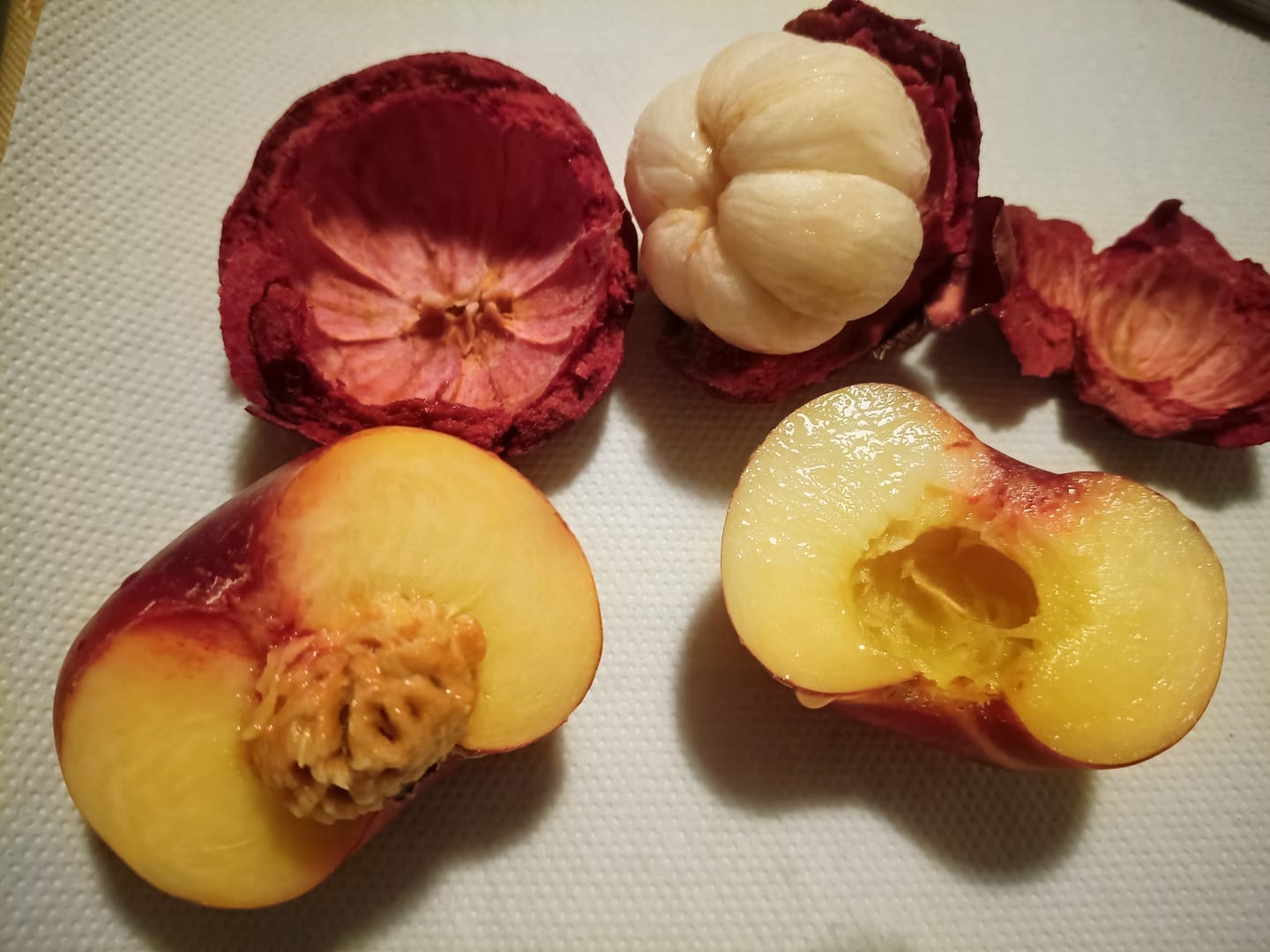 Customer photo review of Mini Weinberg-Nektarinen Bio von Nicolas 3kg Retterbox