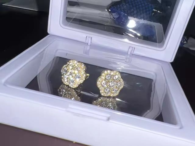 Customer photo review of 925 Silver VVS Moissanite Diamond Double Layers Cluster Studs Earrings Screw Back
