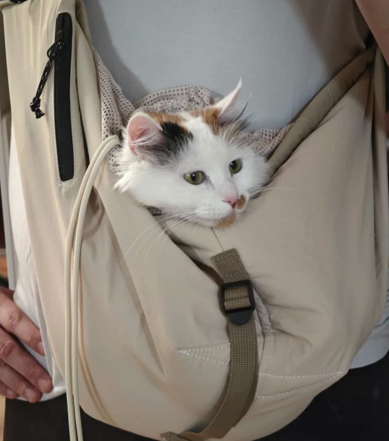 Customer photo review of Ergonomic Portable Hands-Free Pet Sling Carrier