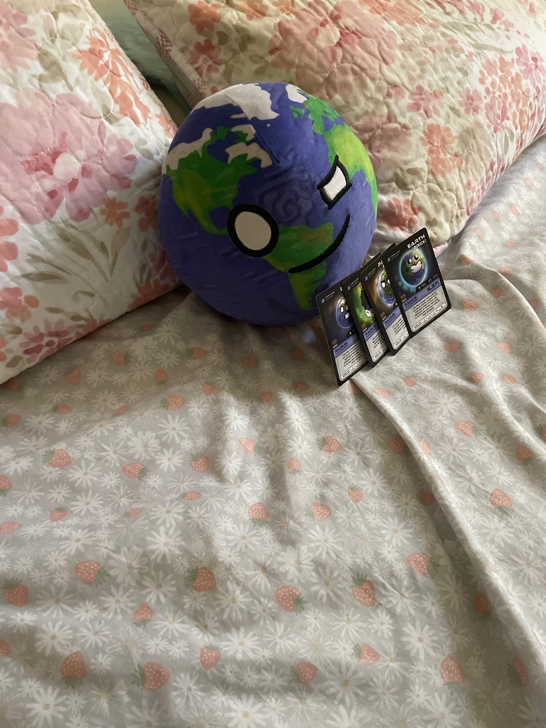 Customer photo review of The SolarBalls Earth Plush