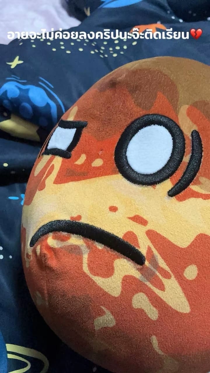 Customer photo review of The SolarBalls Venus Plush
