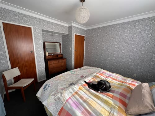 Customer photo review of Deer Woods Wallpaper – Blue
