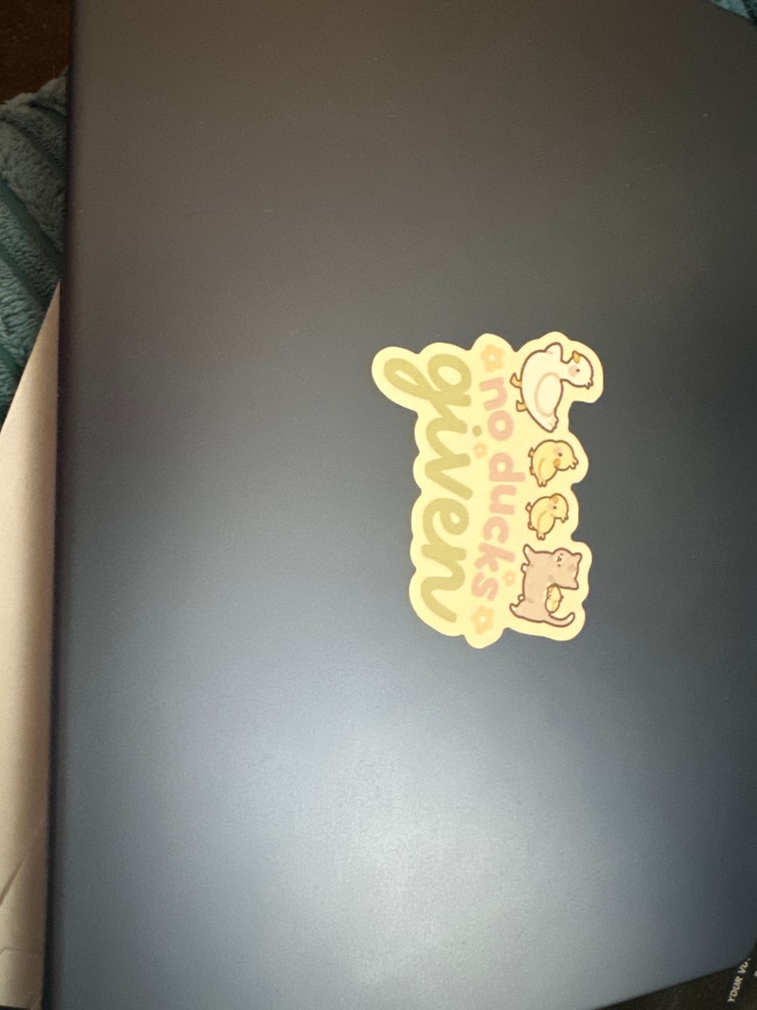 Customer photo review of Satsuma Cat Funny Sticker | No Ducks Given Kawaii Vinyl Sticker | Cute Spring Animal Sticker