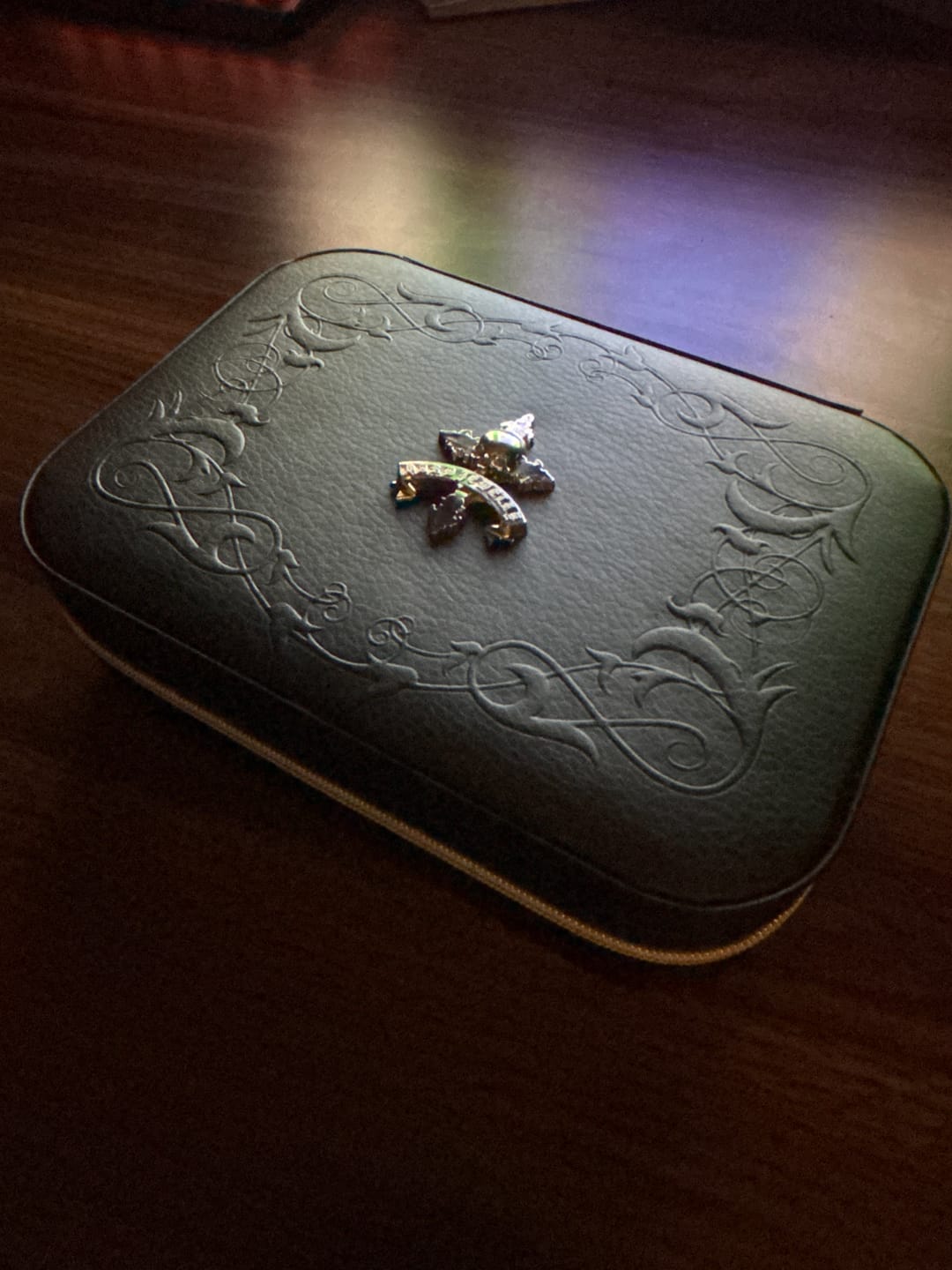 Customer photo review of DYT TRAVEL JEWELRY CASE