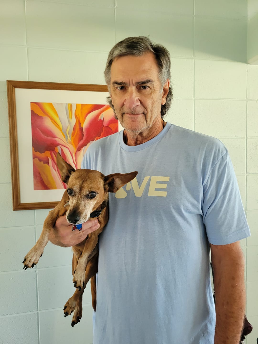 Customer photo review of The Love Of Dogs