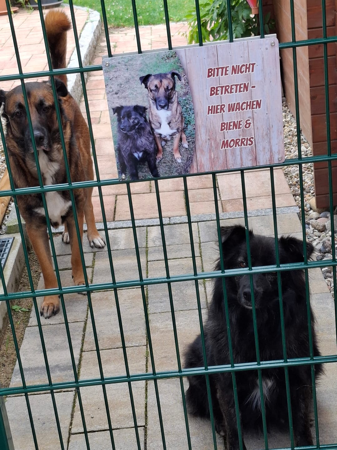 Customer photo review of Hunde-Türschild personalisiert mit Foto & Text (UV- und wetterfest)
