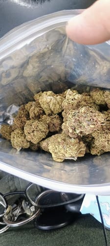 Customer photo review of Hyper Za THCA Flower