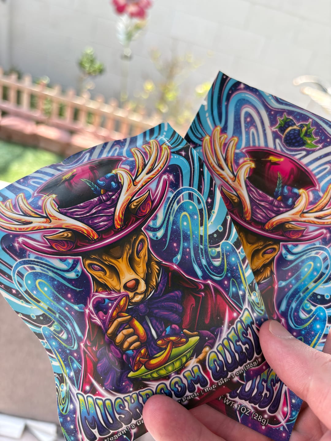 Customer photo review of Mushroom Quest