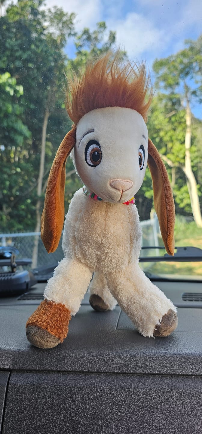 Customer photo review of Tali Plushie