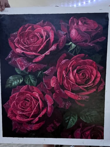 Customer photo review of Velvet Red Roses Dark (80 Colors)