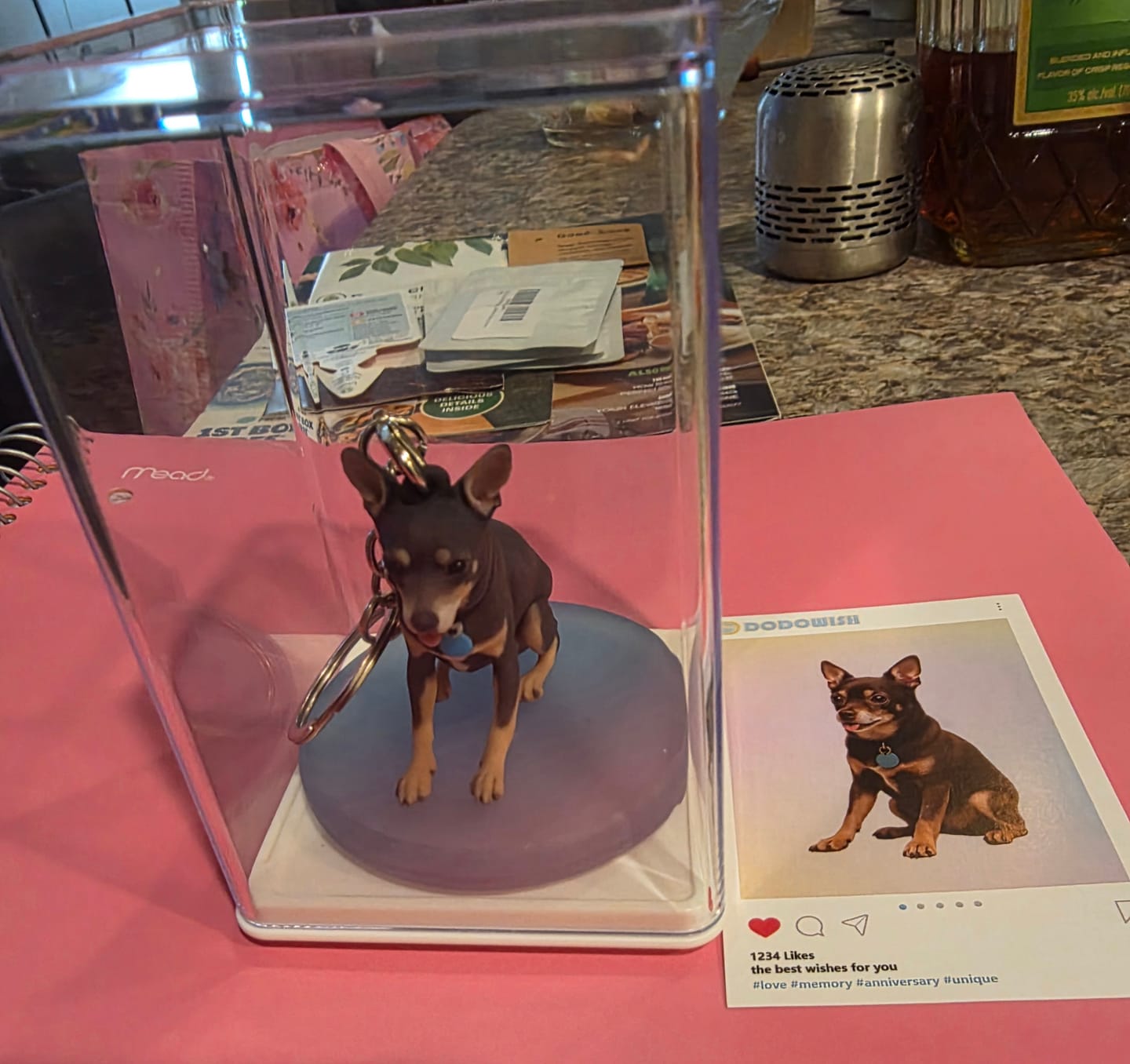 Customer photo review of Dust-Proof Acrylic Display Case