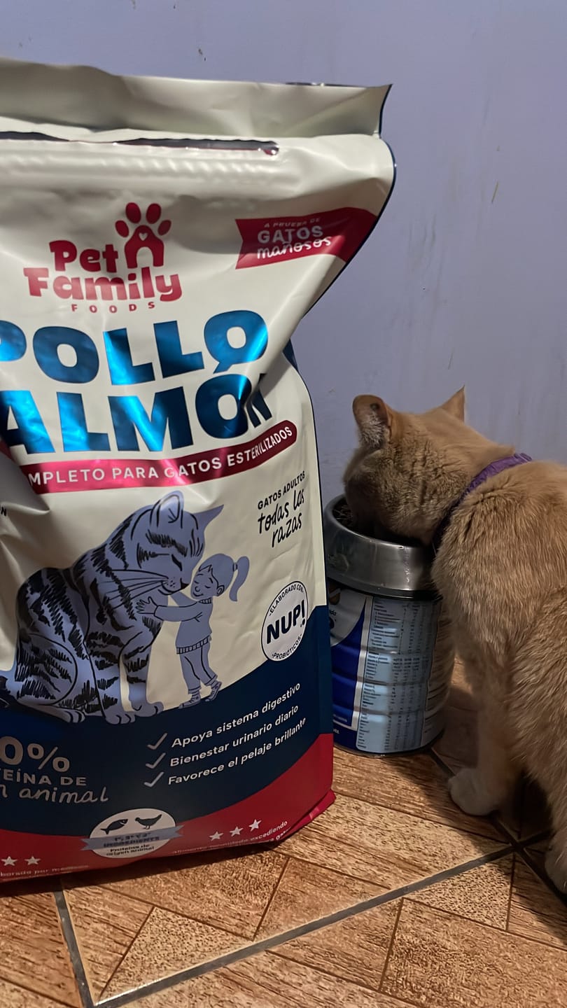 Customer photo review of PetFamily Foods Gato Pollo-Salmón