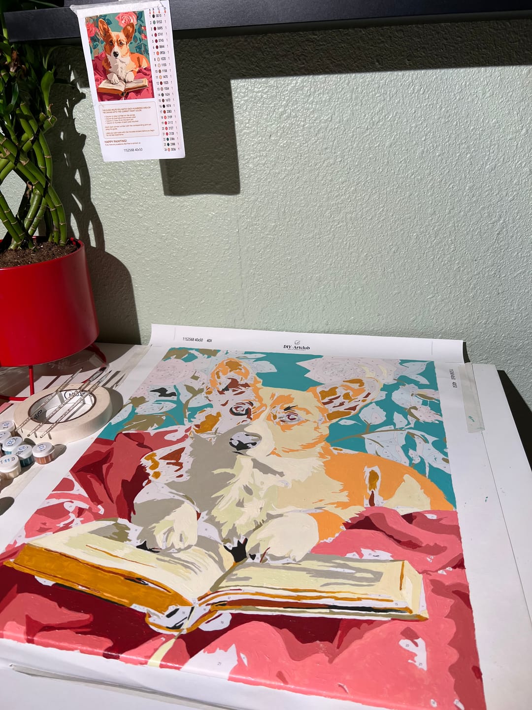 Customer photo review of Intelligent Corgi | Paint by Number