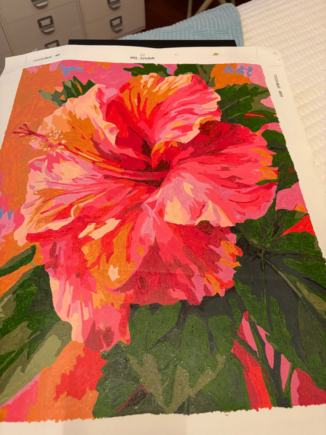 Customer photo review of Colorful Hibiscus | Paint by Number