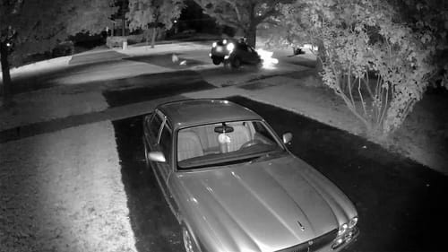 Customer photo review of 2-Pack SecureView™ 4G LTE Solar Security Camera | 360° Pan-Tilt, 2K Night Vision