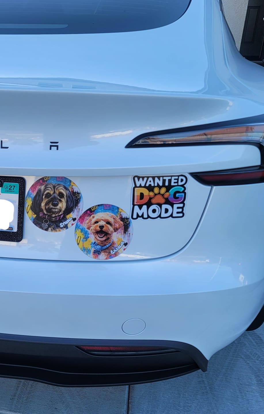 Customer photo review of Graffiti - Personalized Car Magnet