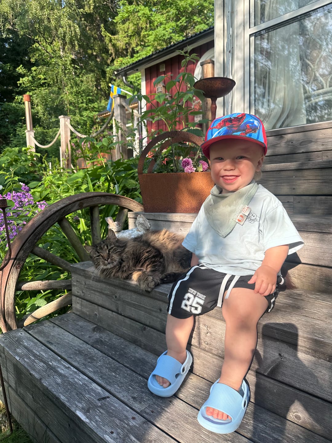 Customer photo review of HappyMini