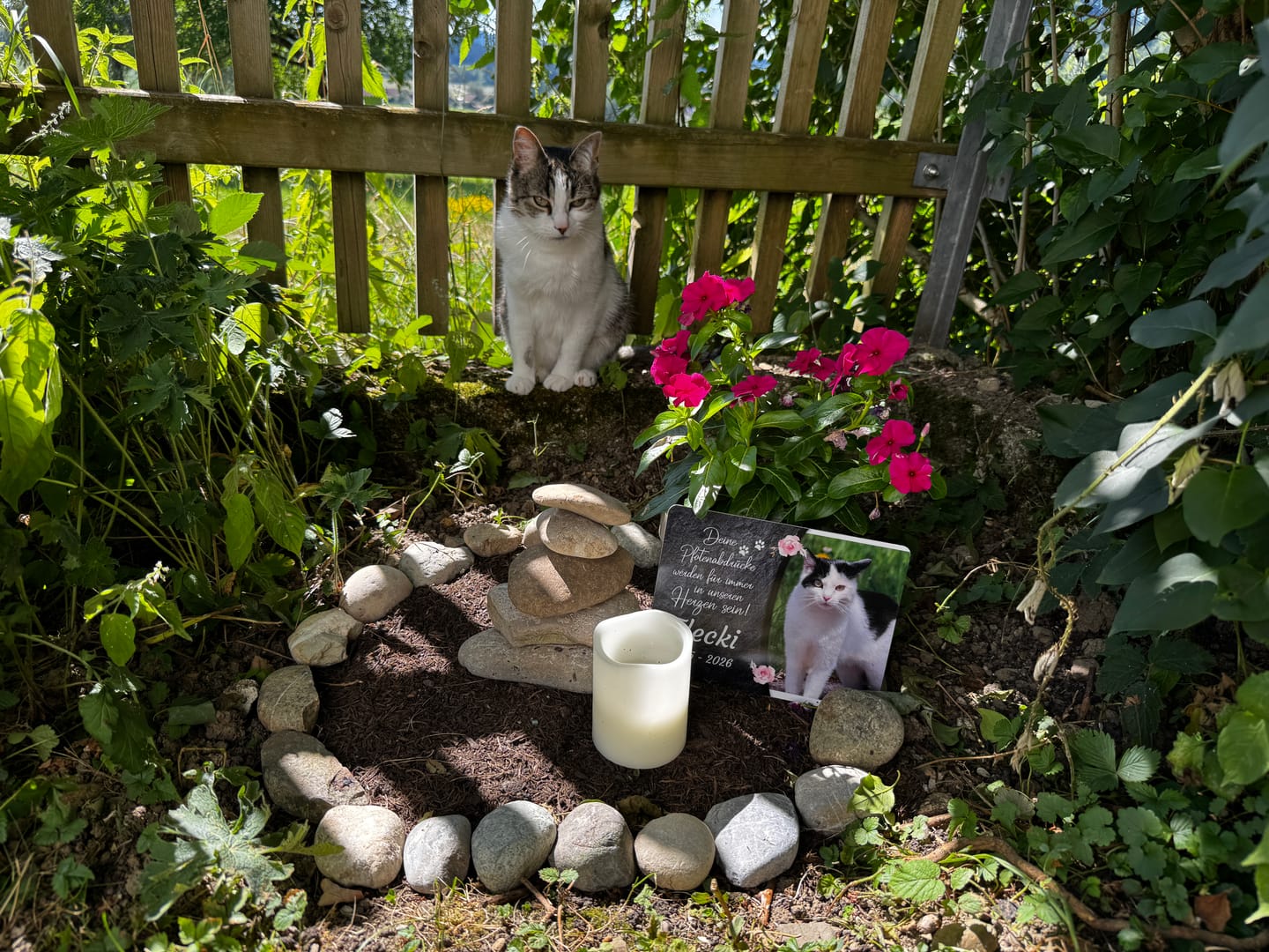 Customer photo review of Katzen Gedenktafel mit Foto & Spruch (UV- & Wetterfest)