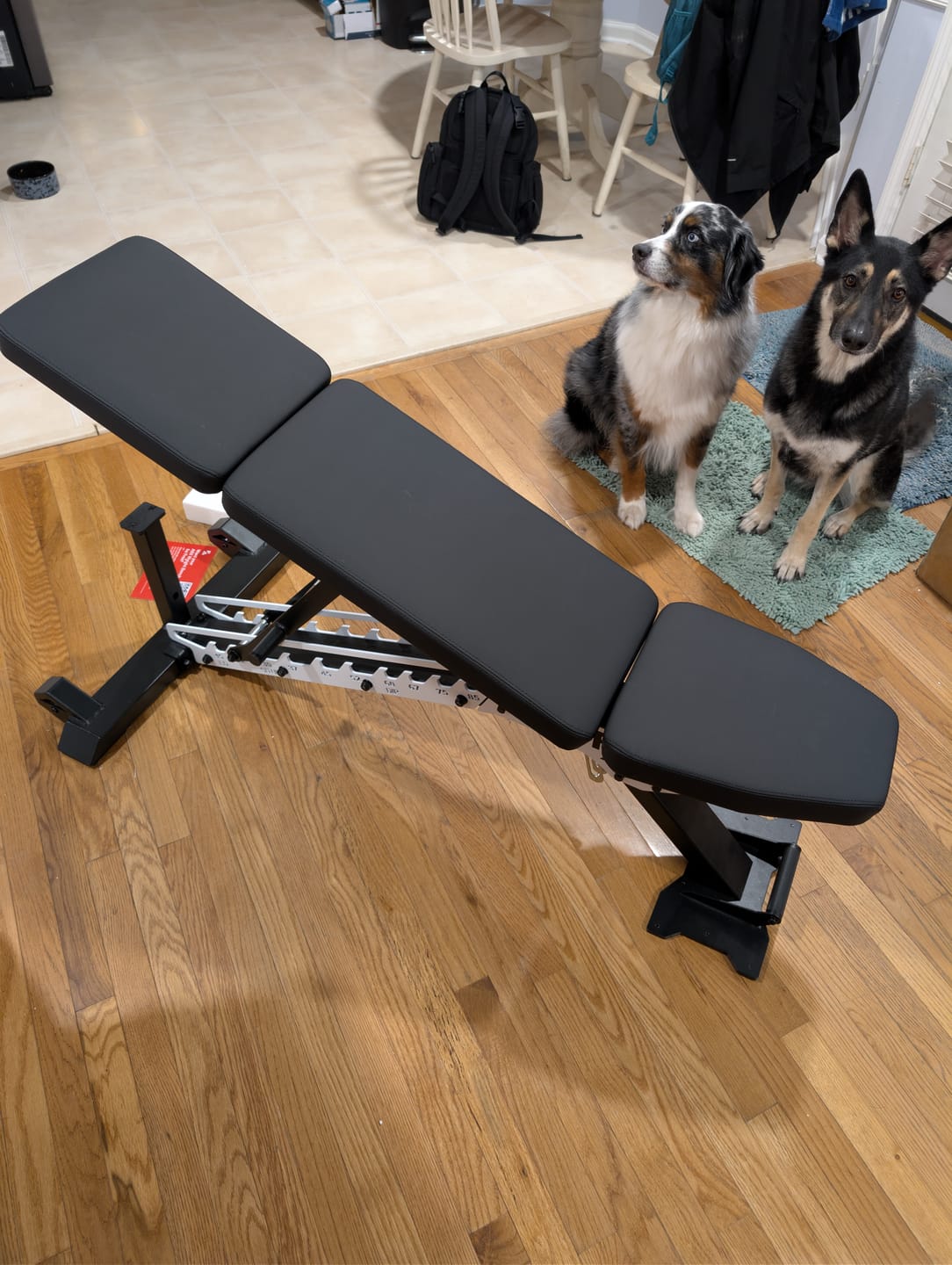 Customer photo review of ABX Weight Bench
