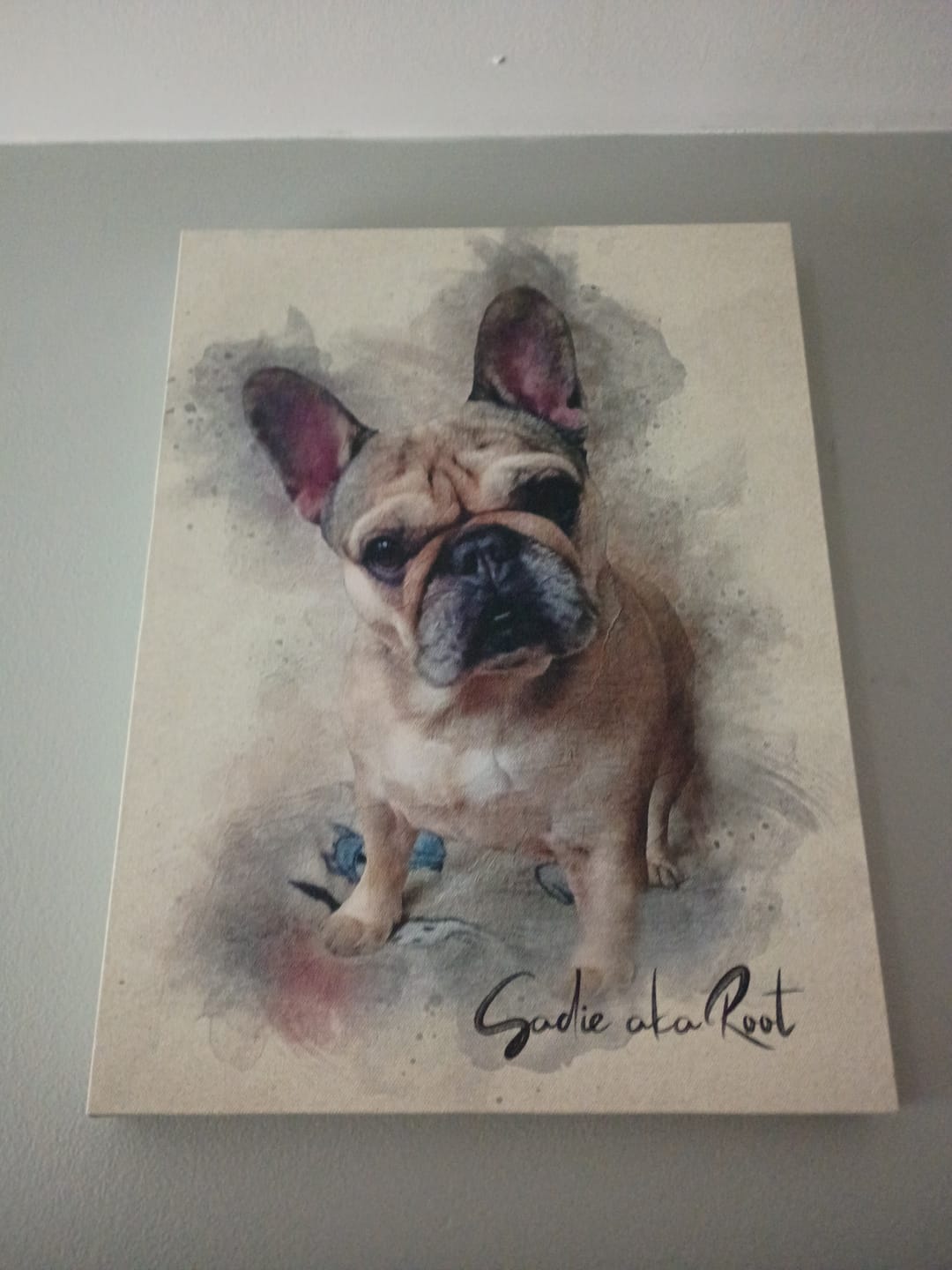 Customer photo review of Personalized Pet portrait