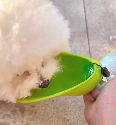 Customer photo review of Portable Dog Water Bottle – Hydration Anywhere