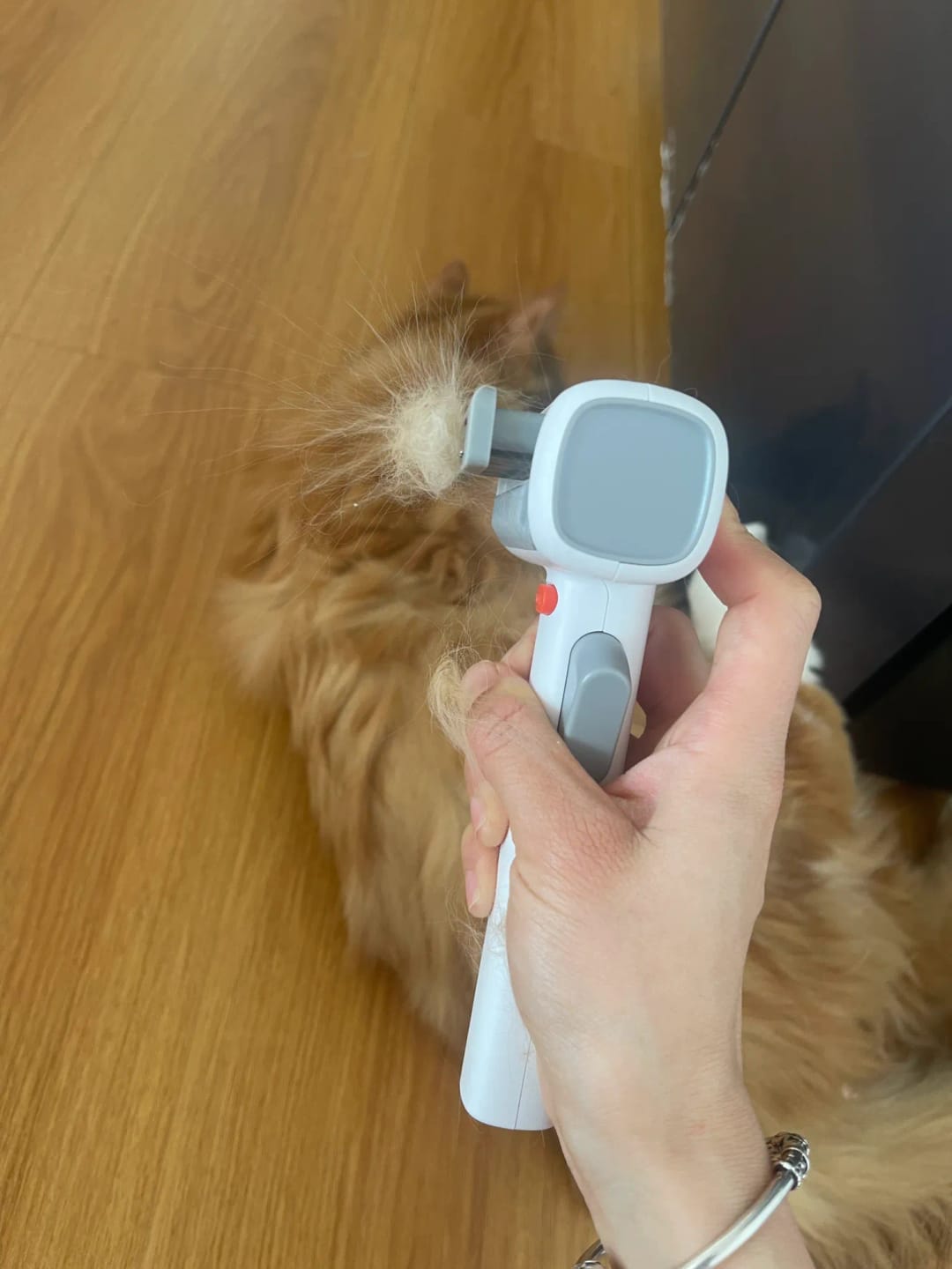 Customer photo review of 2-in-1 Pet Grooming Brush for Dogs & Cats