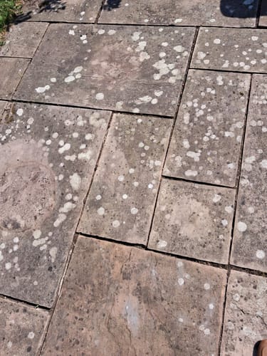 Customer photo review of Patio Perfection