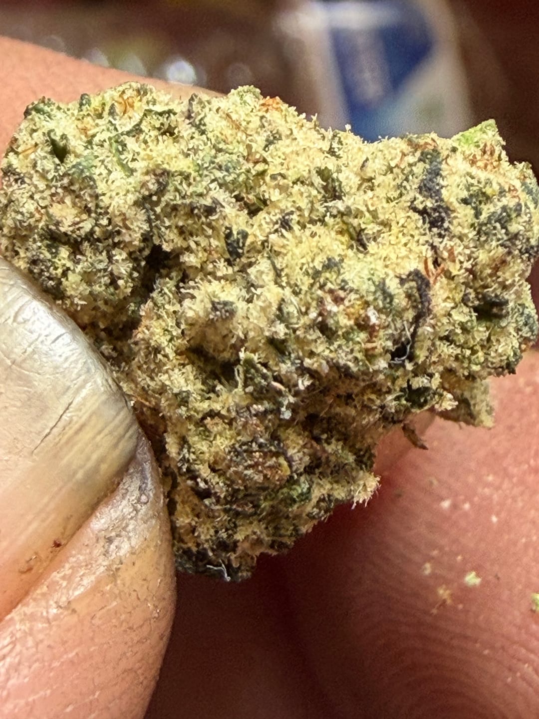 Customer photo review of LITTLES BRAND - Gorilla Glue - 28 Grams Littles - Hybrid