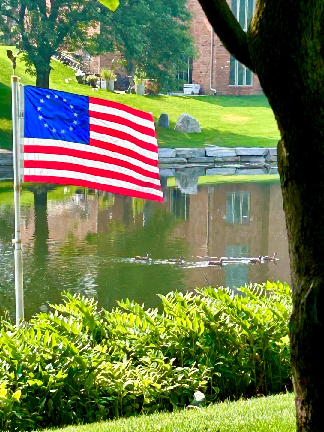 Customer photo review of 3' x 5' Betsy Ross Flag