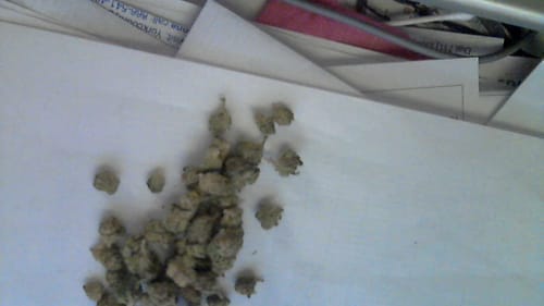 KIND - Raspberry Kush - 28 Grams - Indica photo review