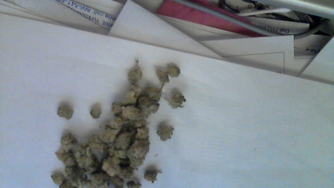 Customer photo review of True OG - Minis - 28 Grams - Indica
