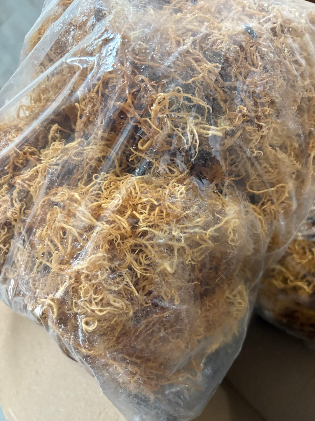 Customer photo review of $16 lb Sea Moss from the pristine waters of St. Lucia- wildcrafted