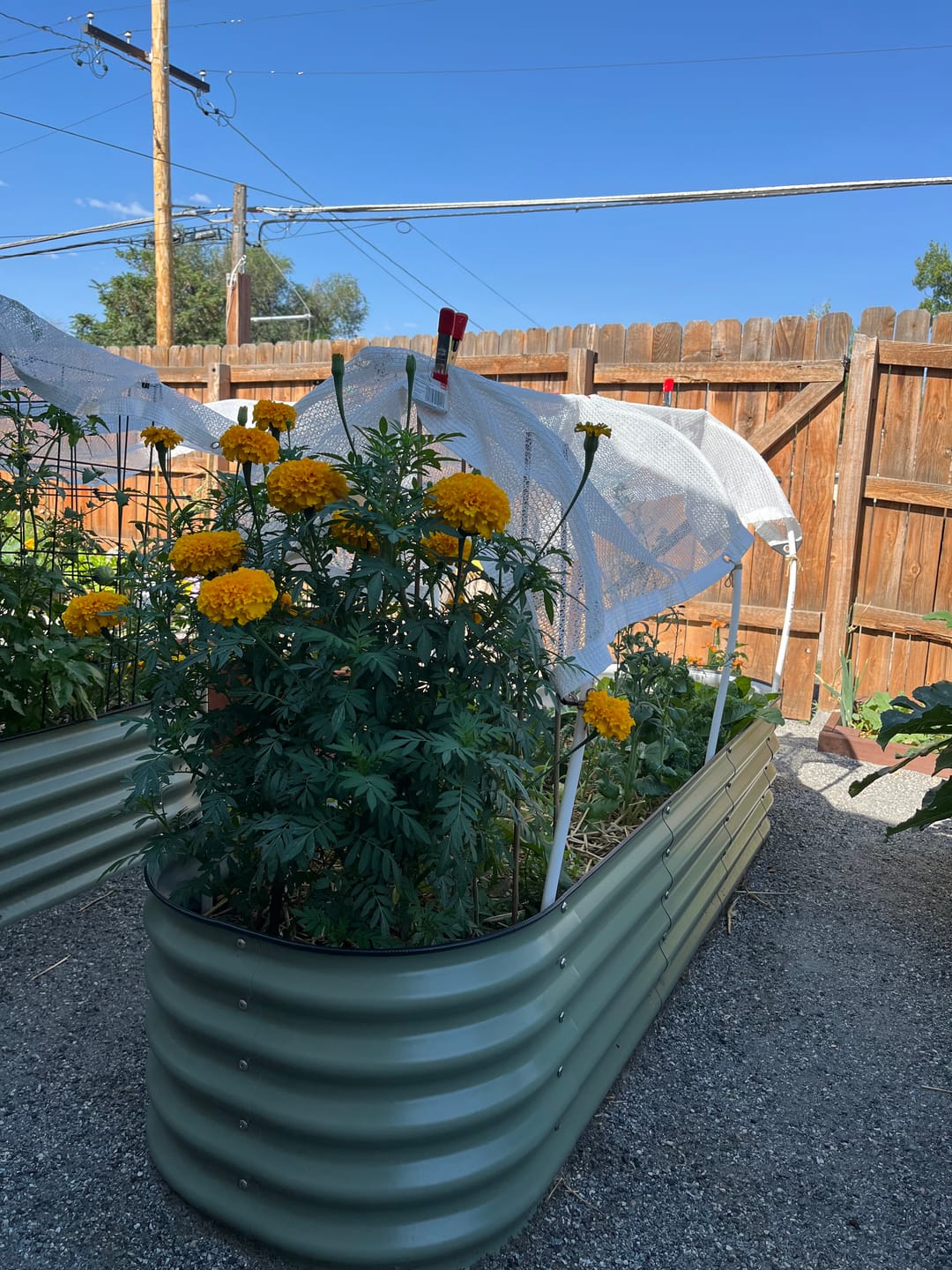Customer photo review of 50% Shade Cloth