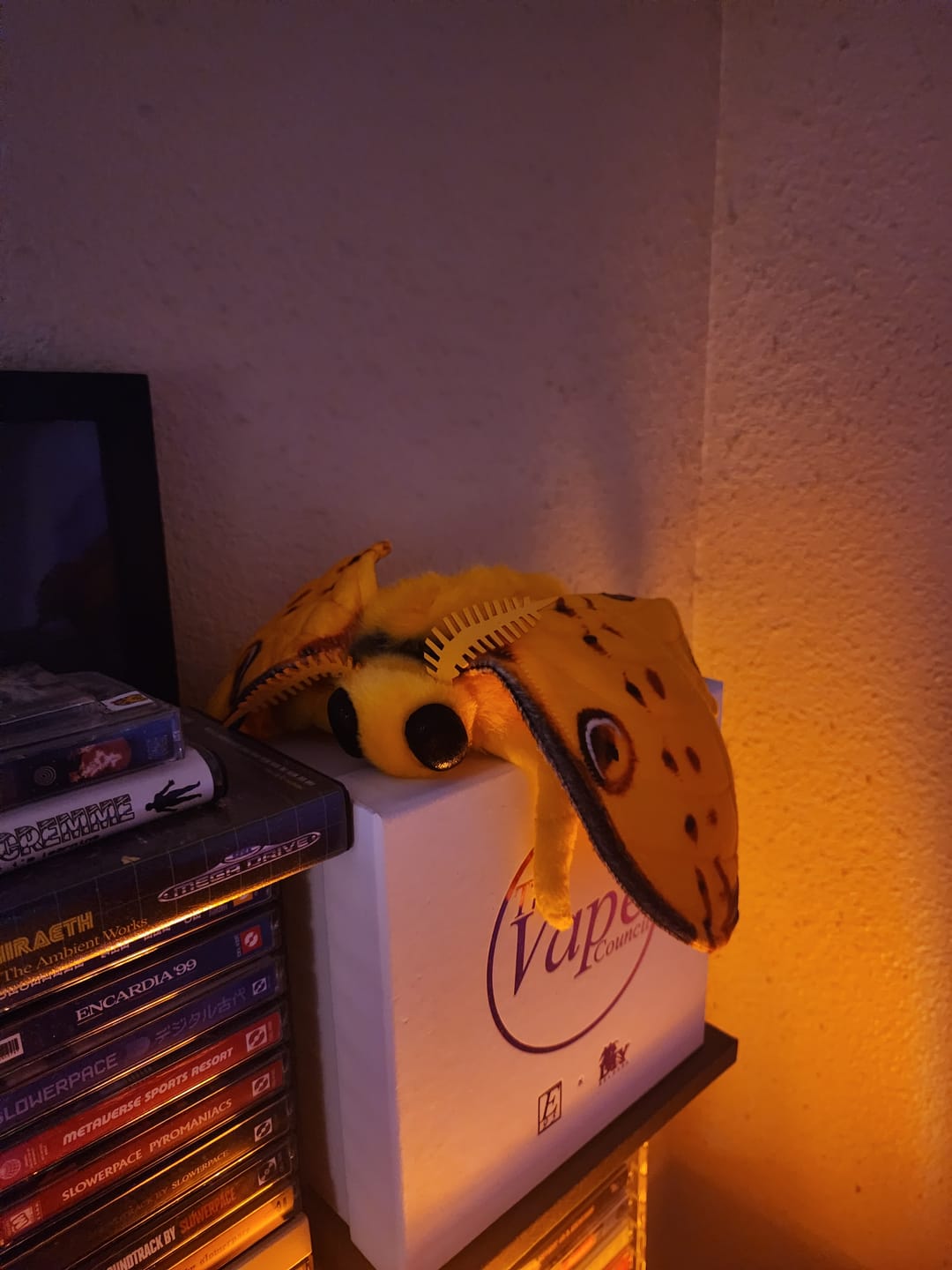 Customer photo review of Comet Moth Soft Stuffed Plush Toy