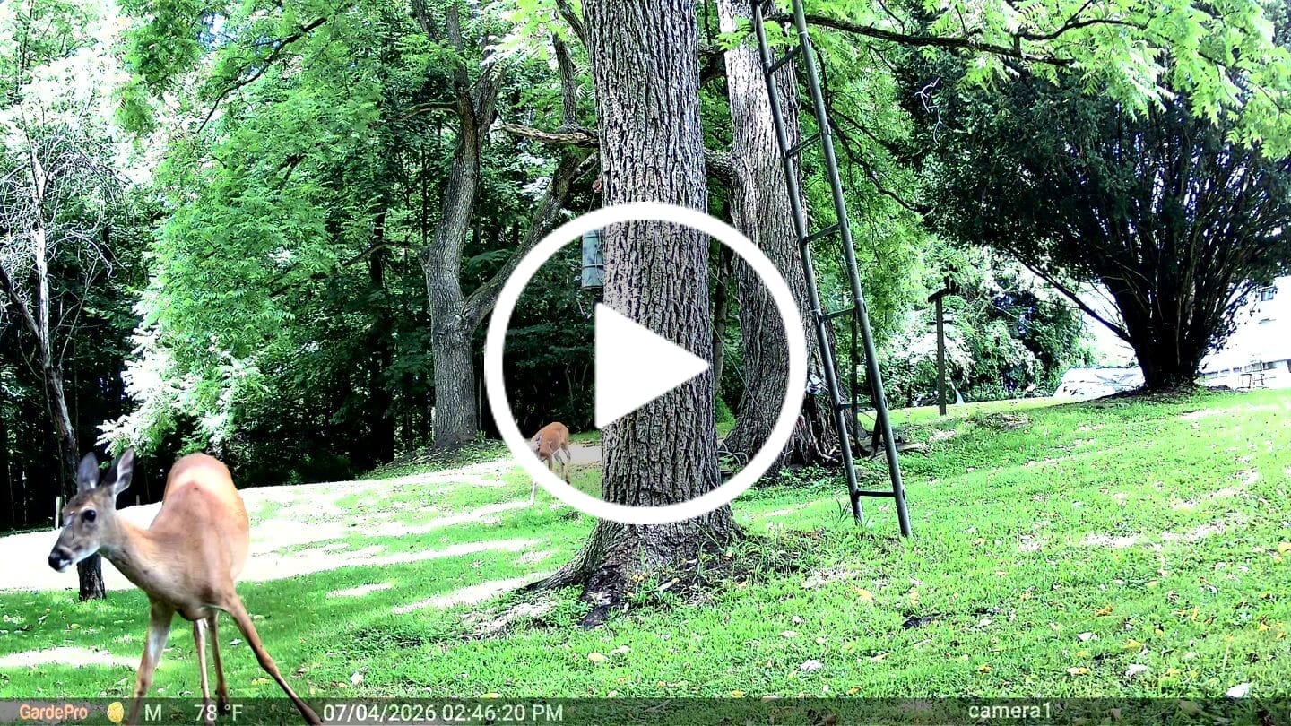 Customer video review of GardePro Link 1.0 3000ft(1km) Long-Range Wireless Trail Camera