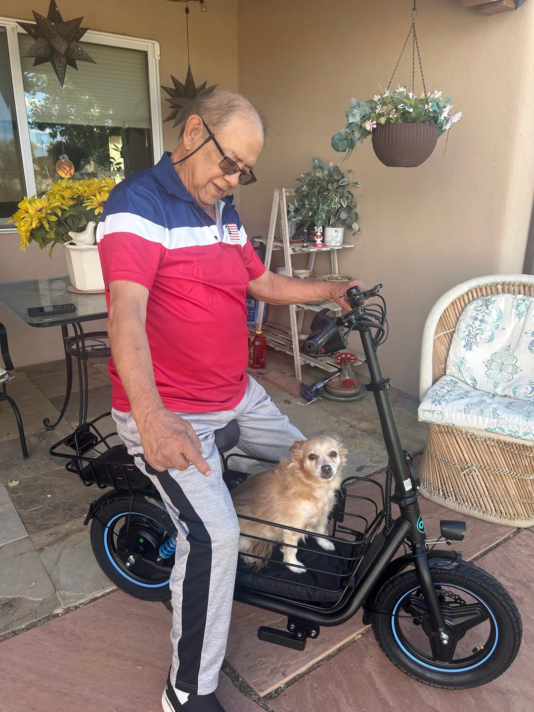 Customer photo review of Gyroor C1Plus 1000W Electric Scooter with Dual Baskets for Pets & Cargo