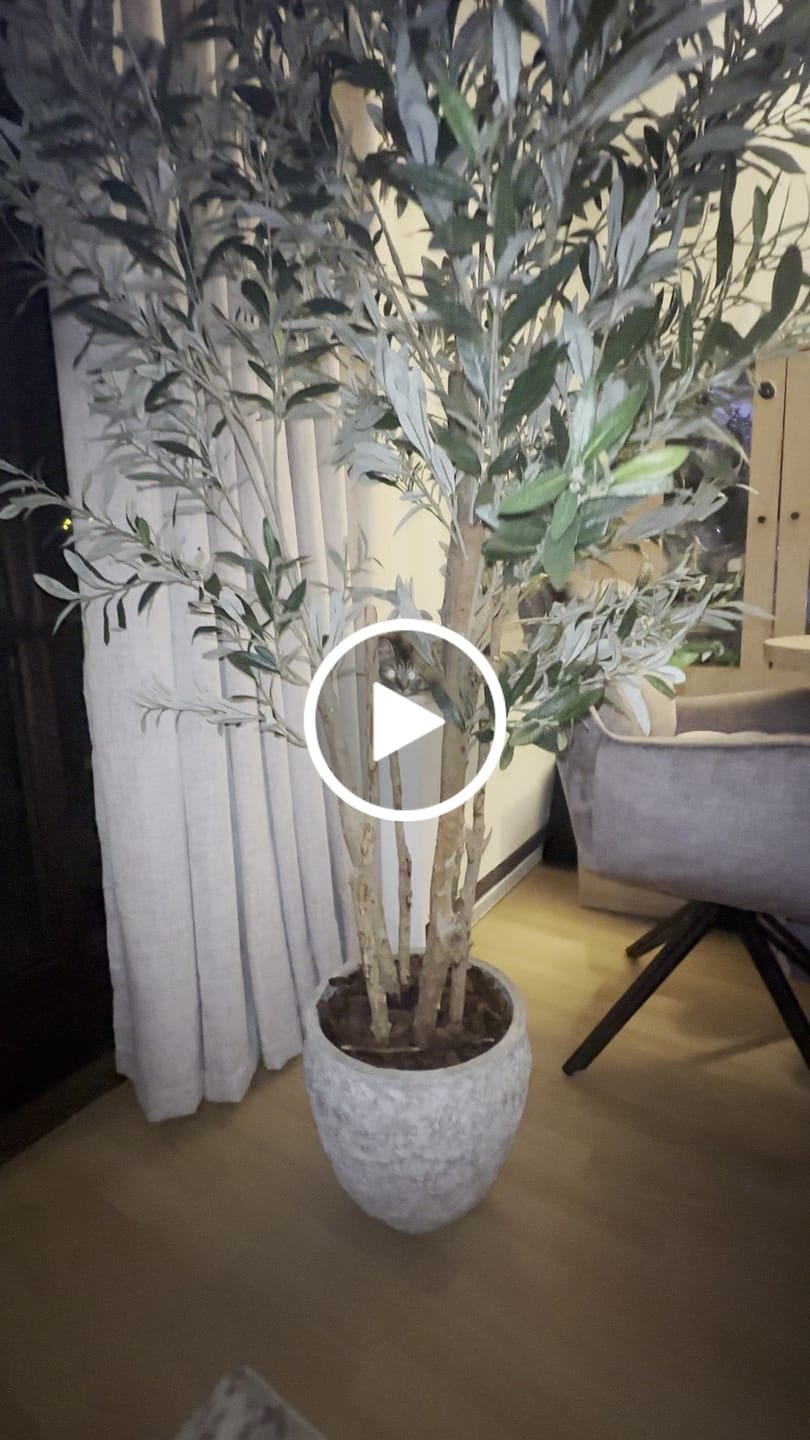 Customer video review of Künstlicher Olivenbaum 180cm