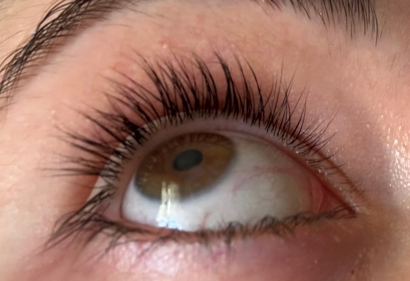 Customer photo review of WIMPERNLIFTING BOX
