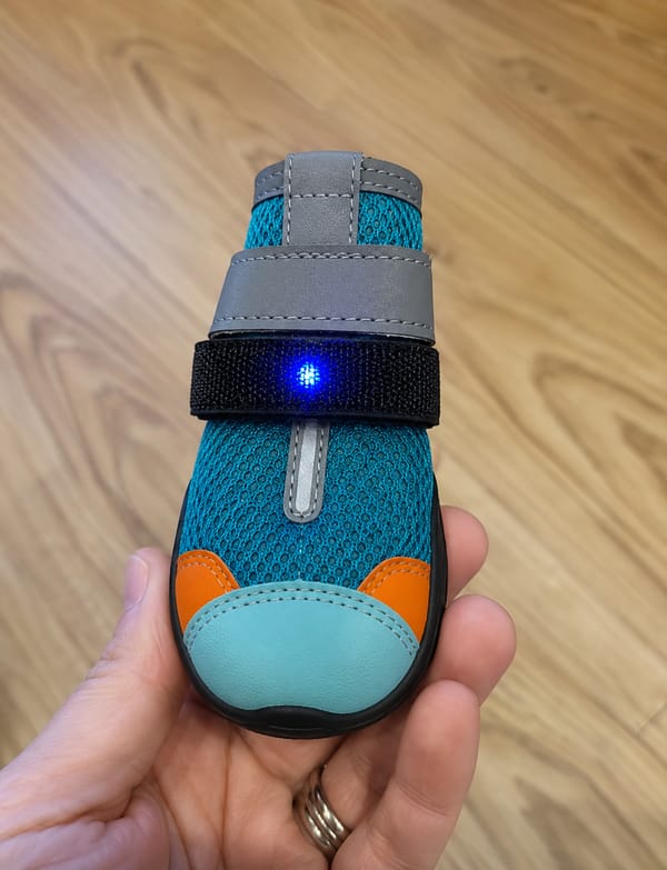 Customer photo review of glowpaws: LED boots for dogs