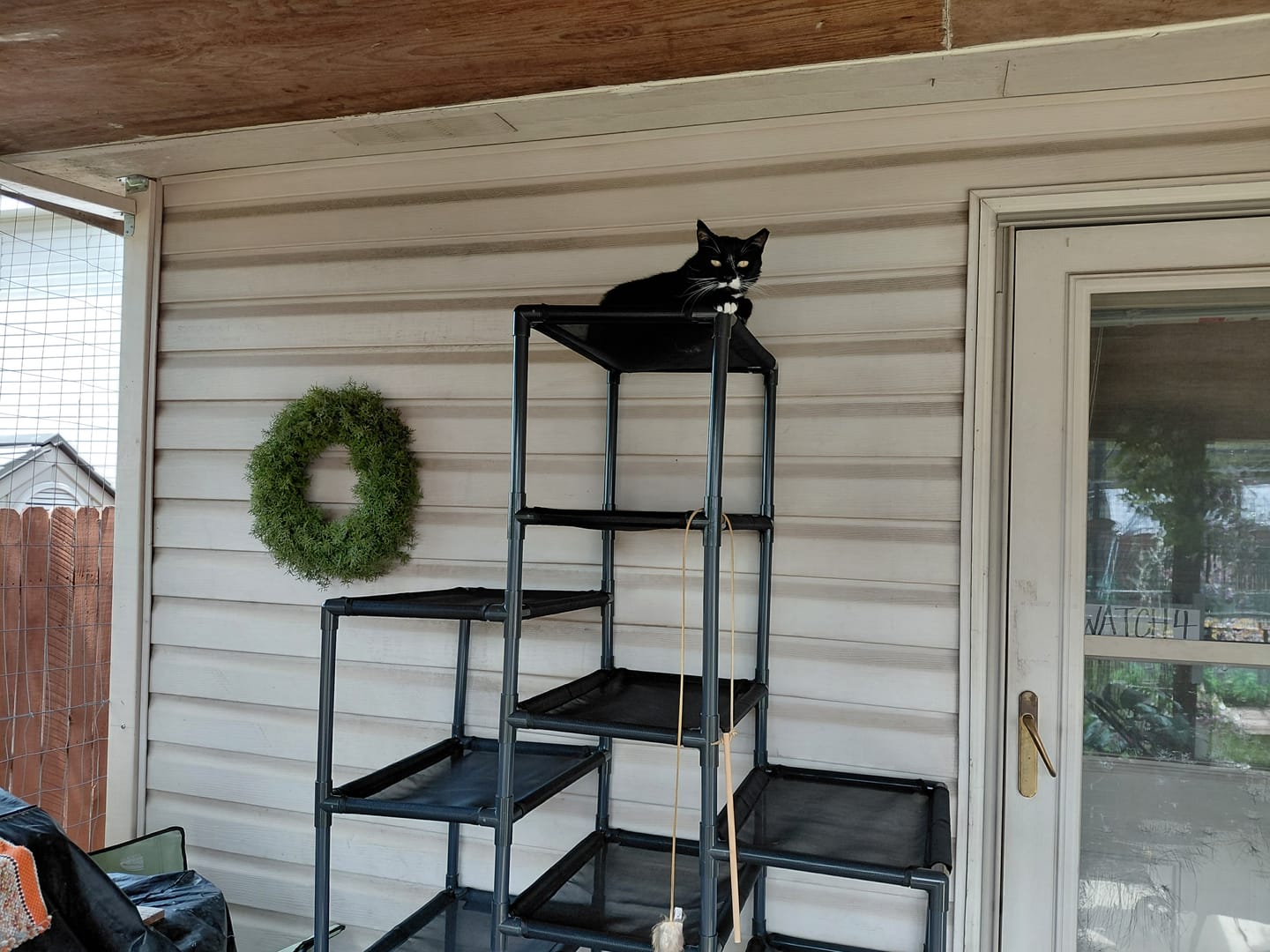 Customer photo review of Durable Cat Tower - SkyRise