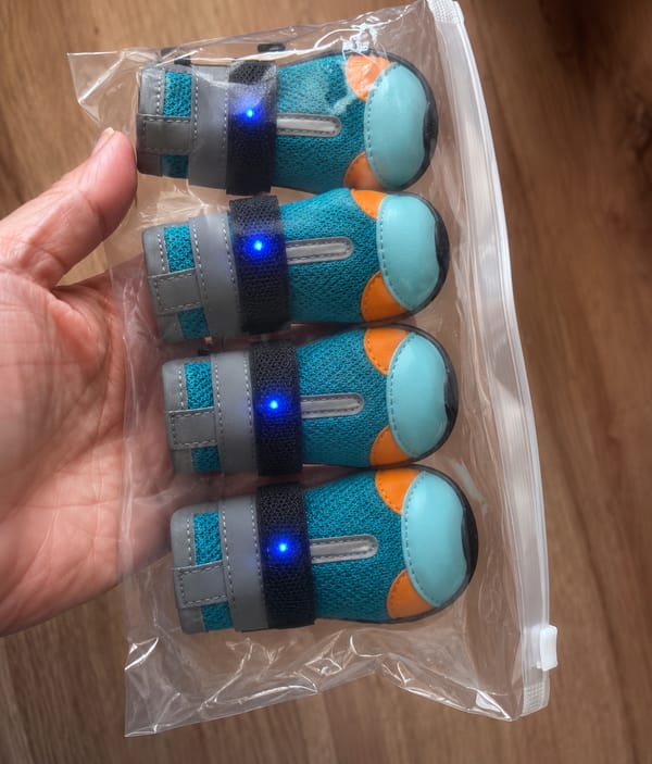 Customer photo review of glowpaws: LED boots for dogs